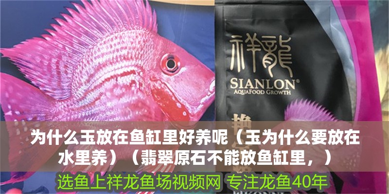 為什么玉放在魚缸里好養呢（玉為什么要放在水里養）（翡翠原石不能放魚缸里，）