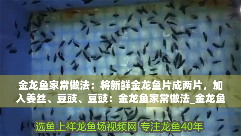 魚缸過濾器選購指南:自制魚缸過濾器魚缸上置過濾器對于養魚愛好者的必備知識 金龍魚家常做法:將新鮮金龍魚片成兩片,加入姜絲、豆豉、豆豉:金龍魚家常做法_金龍魚怎么做 龍魚百科 金龍魚家常做法:將新鮮金龍魚片成兩片,加入姜絲、豆豉、豆豉:金龍魚家常做法_金龍魚怎么做 金龍魚家常做法:將新鮮金龍魚片成兩片,加入姜絲、豆豉、豆豉:金龍魚家常做法_金龍魚怎么做 龍魚百科