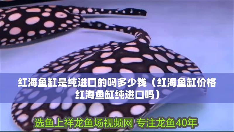 紅海魚缸是純進口的嗎多少錢（紅海魚缸價格紅海魚缸純進口嗎）