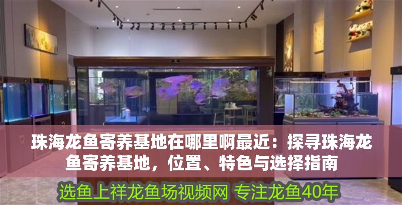 <strong><mark>珠海</mark></strong>龍魚寄養(yǎng)基地在哪里啊最近：探尋<strong><mark>珠海</mark></strong>龍魚寄養(yǎng)基地，位置、特色與選擇指南