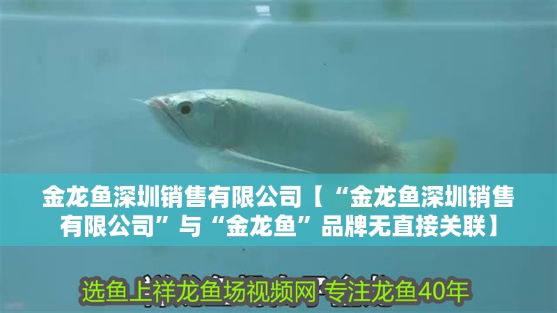 金龍魚深圳銷售有限公司【“金龍魚深圳銷售有限公司”與“金龍魚”品牌無直接關(guān)聯(lián)】