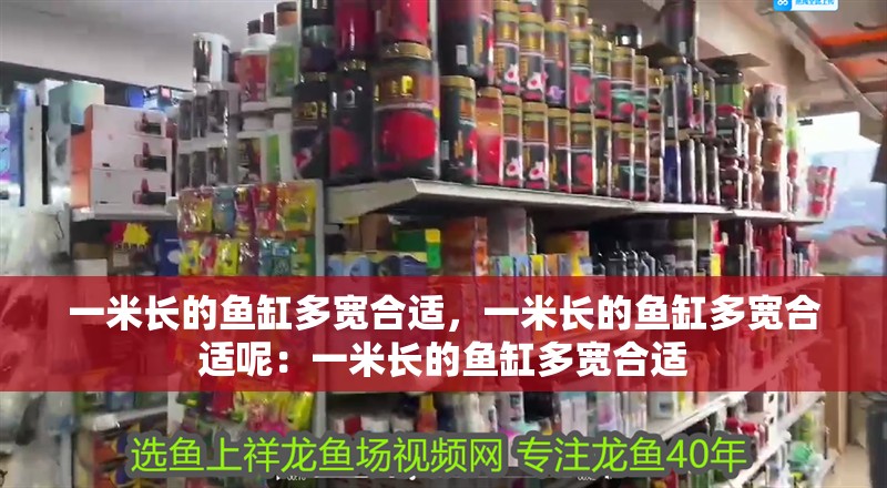 一米長的魚缸多寬合適，一米長的魚缸多寬合適呢：一米長的魚缸多寬合適
