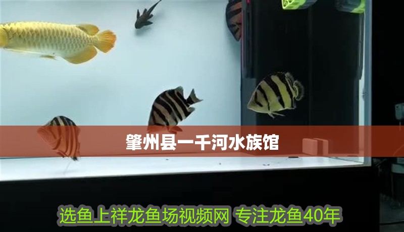 肇州縣一千河水族館