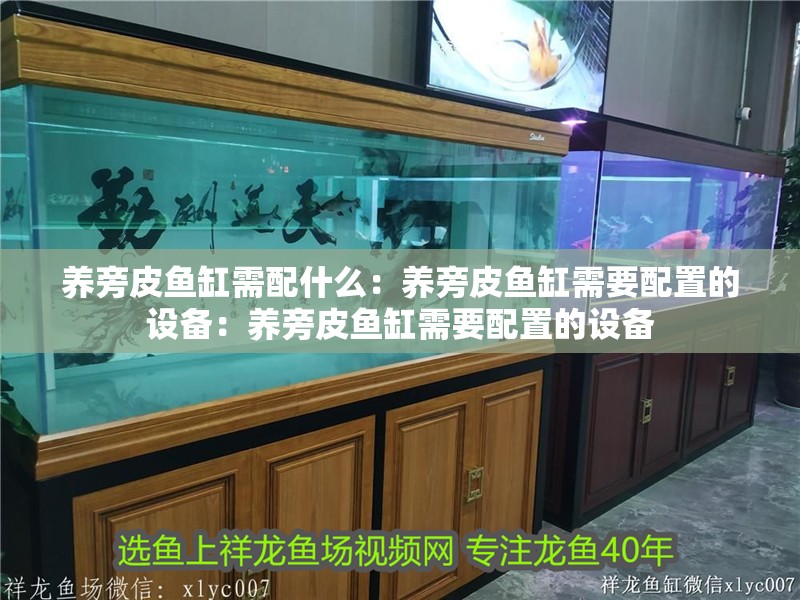 龍魚干蝦有營養嗎 養旁皮魚缸需配什么:養旁皮魚缸需要配置的設備:養旁皮魚缸需要配置的設備 魚缸百科 養旁皮魚缸需配什么:養旁皮魚缸需要配置的設備:養旁皮魚缸需要配置的設備 養旁皮魚缸需配什么:養旁皮魚缸需要配置的設備:養旁皮魚缸需要配置的設備 魚缸百科