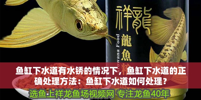 魚缸下水道有水銹的情況下，魚缸下水道的正確處理方法：魚缸下水道如何處理？
