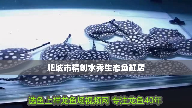 肥城市精創(chuàng)水秀生態(tài)魚缸店