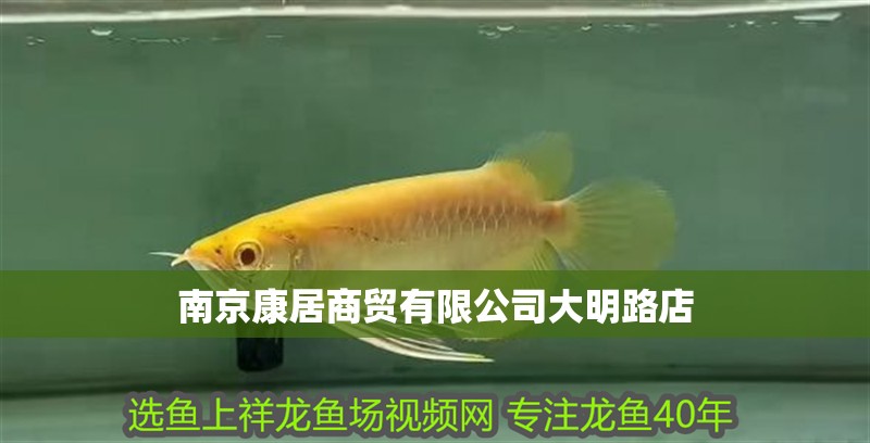南京康居商貿有限公司大明路店