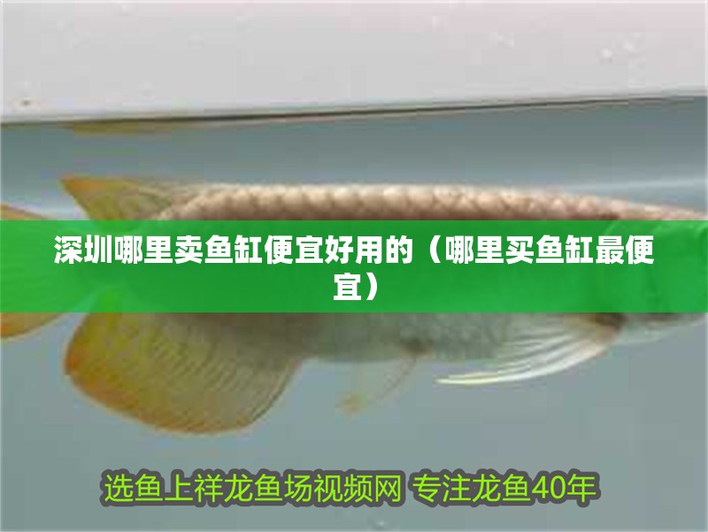 深圳哪里賣魚缸便宜好用的（哪里買魚缸最便宜）