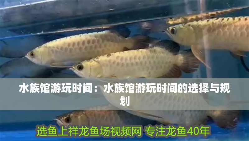 水族館游玩時間：水族館游玩時間的選擇與規劃