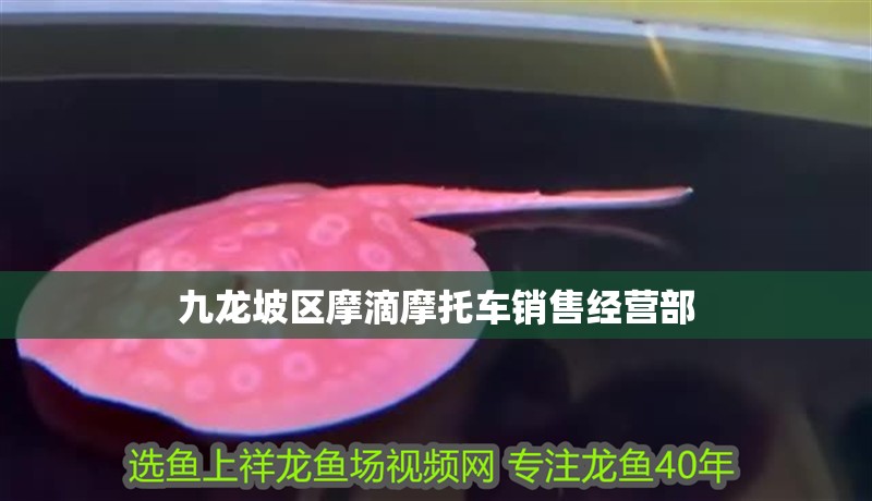 九龍坡區摩滴摩托車銷售經營部