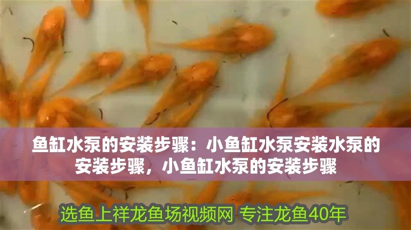 魚缸用增氧泵價格是多少:魚缸增氧機-xtrac增氧機-xtrac增氧機 魚缸水泵的安裝步驟:小魚缸水泵安裝水泵的安裝步驟,小魚缸水泵的安裝步驟 魚缸百科 魚缸水泵的安裝步驟:小魚缸水泵安裝水泵的安裝步驟,小魚缸水泵的安裝步驟 魚缸水泵的安裝步驟:小魚缸水泵安裝水泵的安裝步驟,小魚缸水泵的安裝步驟 魚缸百科