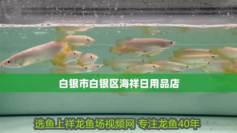 魚缸用增氧泵價格是多少:魚缸增氧機-xtrac增氧機-xtrac增氧機 白銀市白銀區海祥日用品店 全國水族館企業名錄 白銀市白銀區海祥日用品店 白銀市白銀區海祥日用品店 全國水族館企業名錄