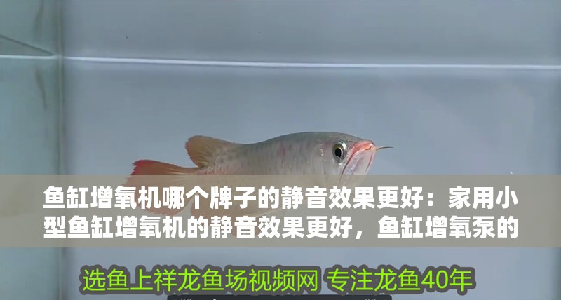 魚缸增氧機哪個牌子的靜音效果更好：家用小型魚缸增氧機的靜音效果更好，魚缸增氧泵的使用方法