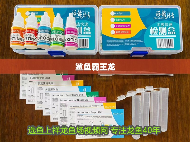 鯊魚霸王龍 鯊魚霸王龍 龍魚論壇