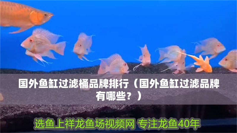國(guó)外魚缸過(guò)濾桶品牌排行（國(guó)外魚缸過(guò)濾品牌有哪些？）