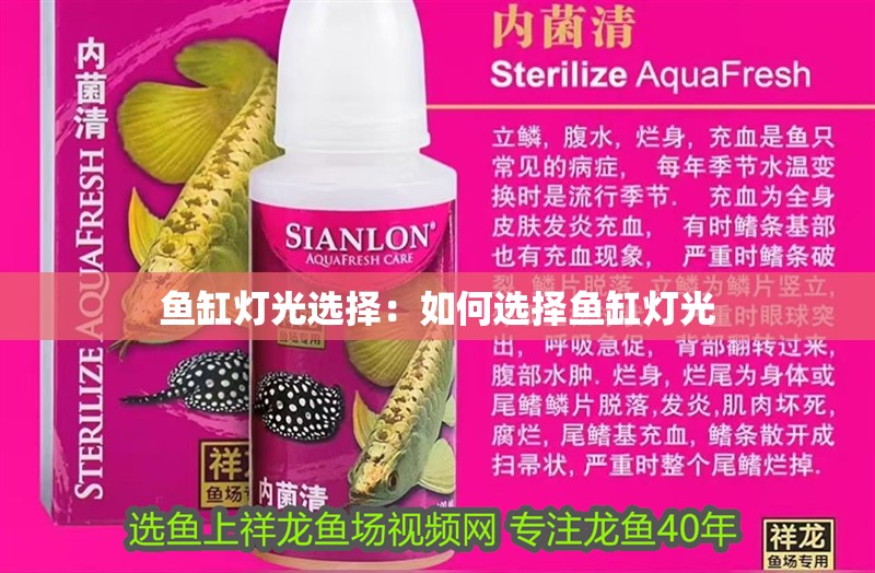魚缸燈光選擇：如何選擇魚缸燈光