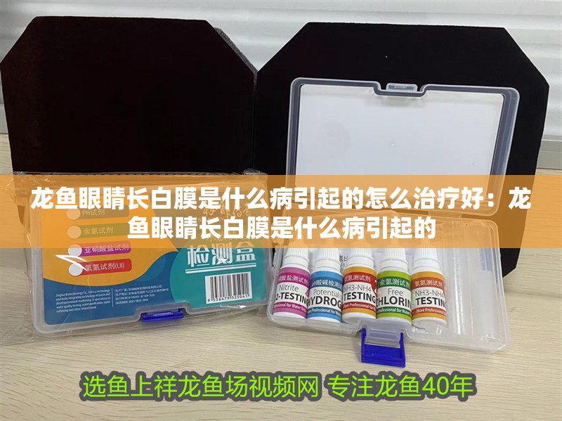 龍魚眼睛長白膜是什么病引起的怎么治療好：龍魚眼睛長白膜是什么病引起的