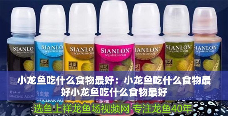 小龍魚吃什么食物最好：小龍魚吃什么食物最好小龍魚吃什么食物最好