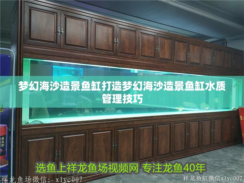 夢幻海沙造景魚缸打造夢幻海沙造景魚缸水質管理技巧