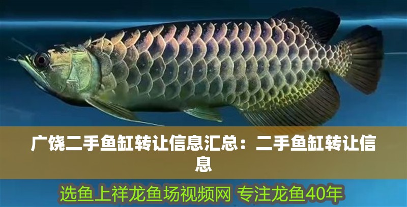 廣饒二手魚缸轉讓信息匯總：二手魚缸轉讓信息