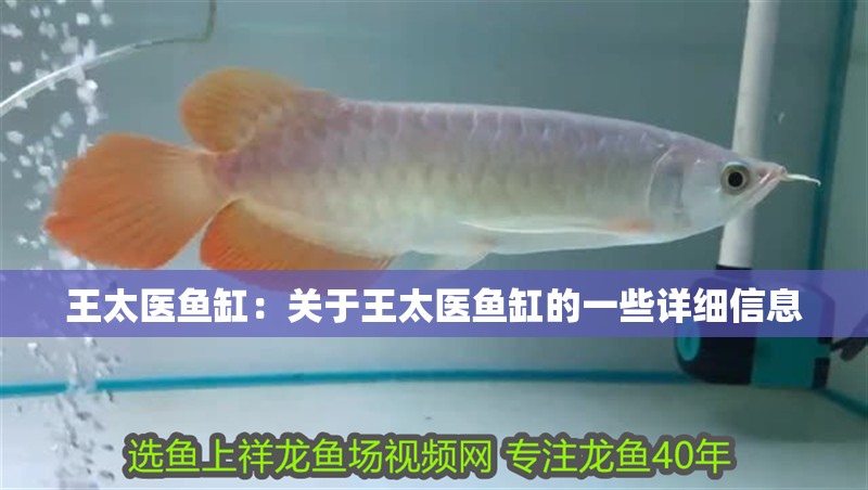 王太醫魚缸：關于王太醫魚缸的一些詳細信息