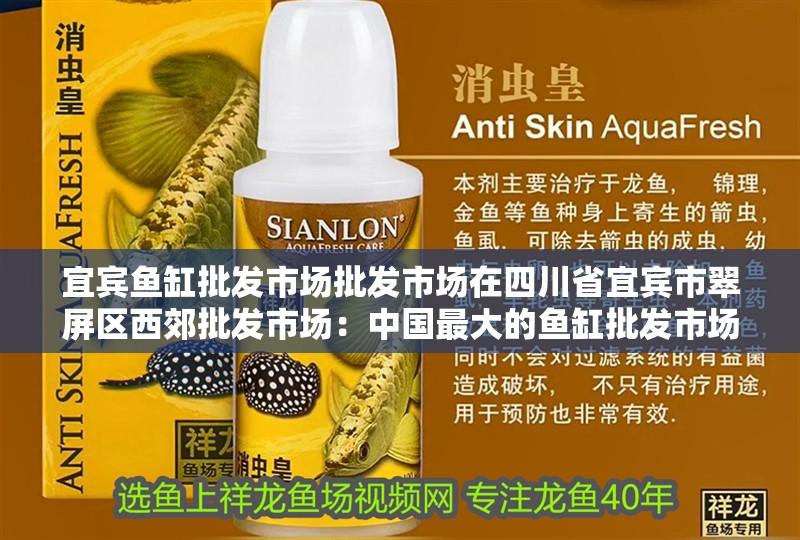 宜賓魚缸批發市場批發市場在<strong><mark>四川</mark></strong>省宜賓市翠屏區西郊批發市場：中國最大的魚缸批發市場在哪里？