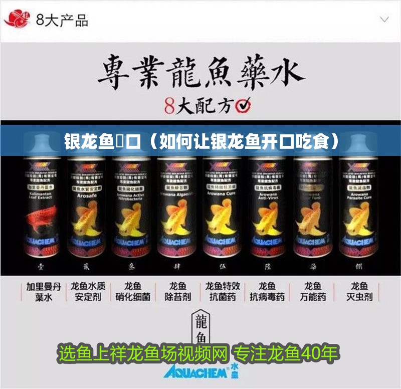 魚缸造景先放沙還是先放水(魚缸造景先鋪沙還是先放石頭) 銀龍魚幵口(如何讓銀龍魚開口吃食) 龍魚百科 銀龍魚幵口(如何讓銀龍魚開口吃食) 銀龍魚幵口(如何讓銀龍魚開口吃食) 龍魚百科