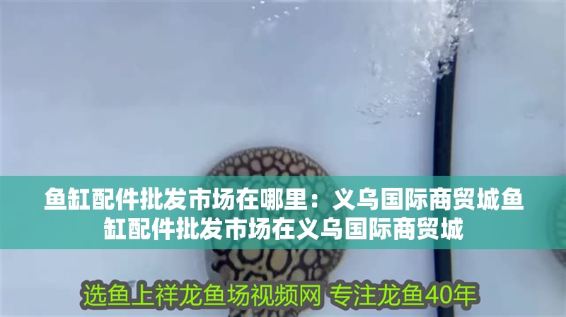 魚缸配件批發市場在哪里：義烏國際商貿城魚缸配件批發市場在義烏國際商貿城