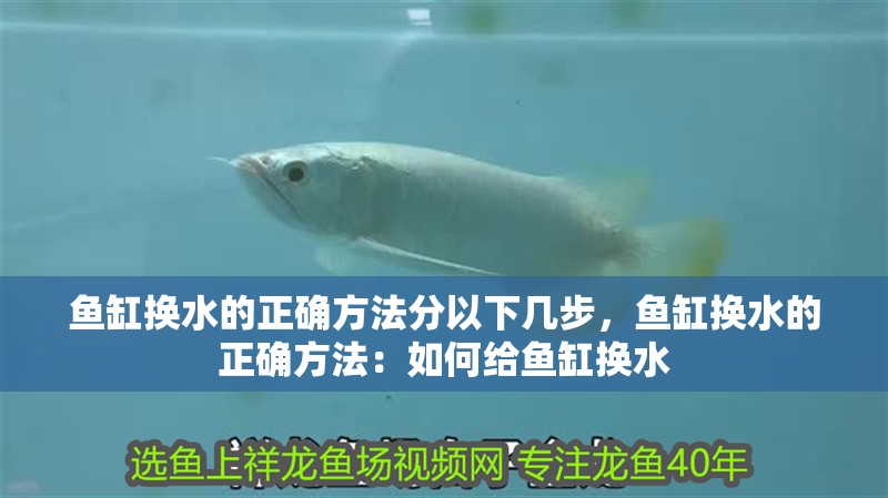 魚缸換水的正確方法分以下幾步，魚缸換水的正確方法：如何給魚缸換水