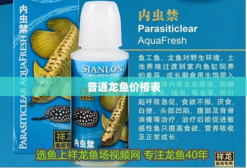 普通龍魚(yú)價(jià)格表 普通龍魚(yú)價(jià)格表 龍魚(yú)論壇