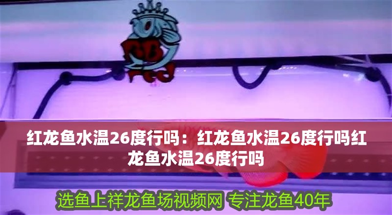 紅龍魚水溫26度行嗎：紅龍魚水溫26度行嗎紅龍魚水溫26度行嗎