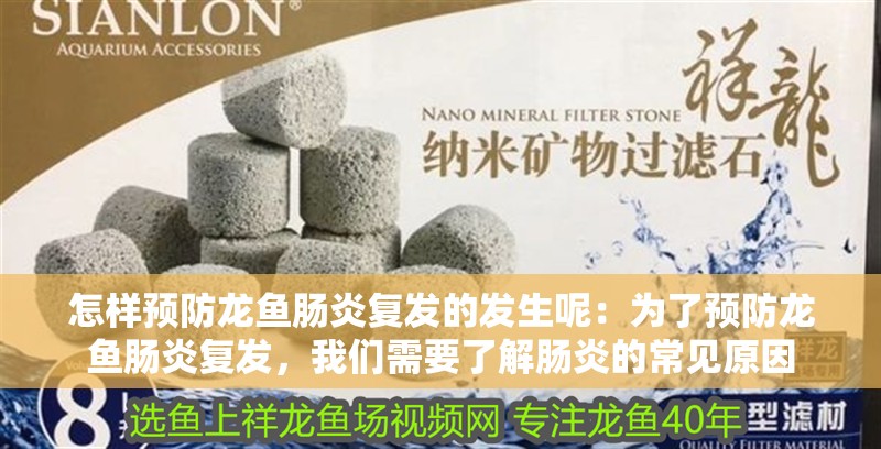 怎樣預防龍魚腸炎復發的發生呢：為了預防龍魚腸炎復發，我們需要了解腸炎的常見原因 怎樣預防龍魚腸炎復發的發生呢：為了預防龍魚腸炎復發，我們需要了解腸炎的常見原因 龍魚百科