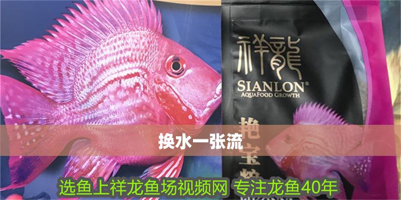 換水一張流 換水一張流 黃金貓魚百科 第1張