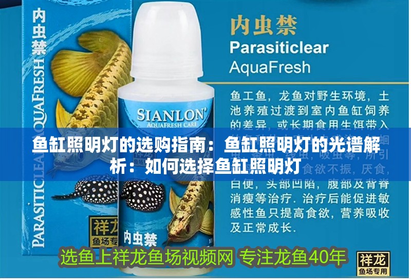 魚缸照明燈的選購指南：魚缸照明燈的光譜解析：如何選擇魚缸照明燈