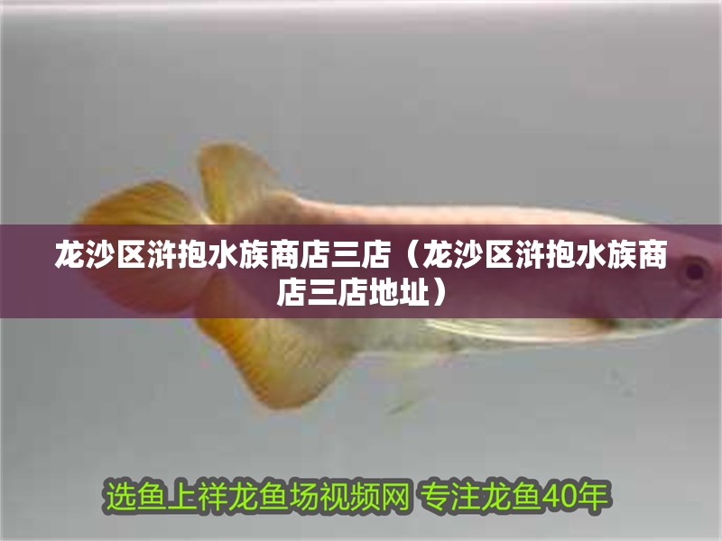 龍沙區滸抱水族商店三店（龍沙區滸抱水族商店三店地址） 龍沙區滸抱水族商店三店（龍沙區滸抱水族商店三店地址） 全國水族館企業名錄