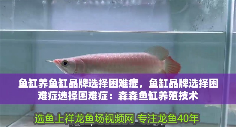 魚缸養魚缸品牌選擇困難癥，魚缸品牌選擇困難癥選擇困難癥：森森魚缸養殖技術