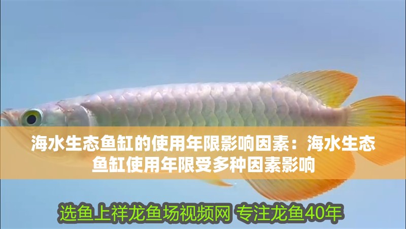 海水生態魚缸的使用年限影響因素：海水生態魚缸使用年限受多種因素影響