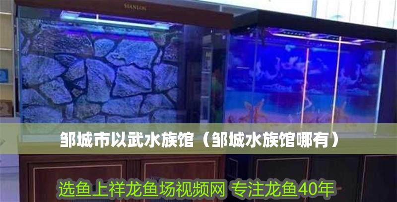 鄒城市以武水族館（鄒城水族館哪有） 鄒城市以武水族館（鄒城水族館哪有） 全國水族館企業名錄