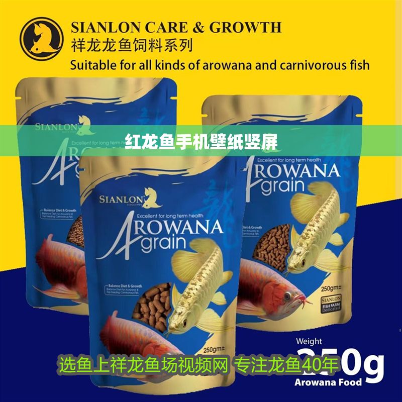 紅龍魚手機壁紙豎屏