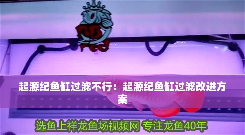 起源紀魚缸過濾不行：起源紀魚缸過濾改進方案