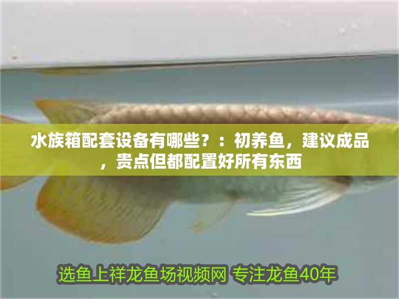 水族箱配套設備有哪些？：初養魚，建議成品，貴點但都配置好所有東西 水族箱配套設備有哪些？：初養魚，建議成品，貴點但都配置好所有東西 魚缸百科