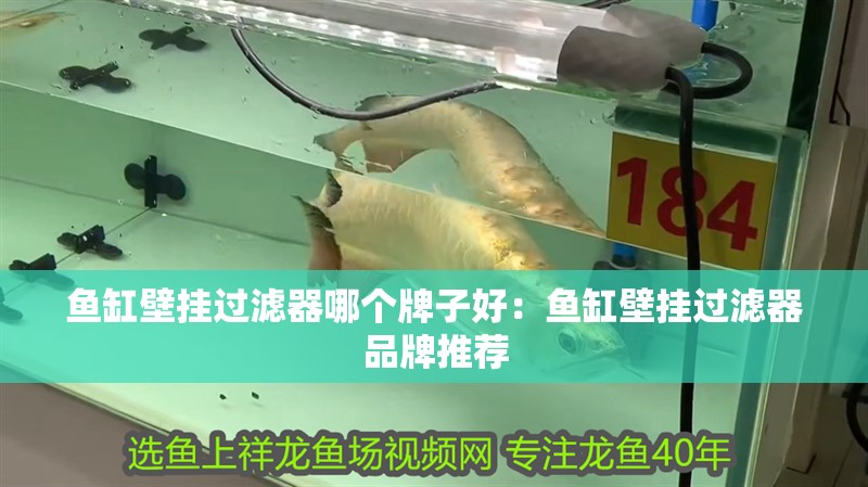 魚(yú)缸壁掛過(guò)濾器哪個(gè)牌子好：魚(yú)缸壁掛過(guò)濾器品牌推薦