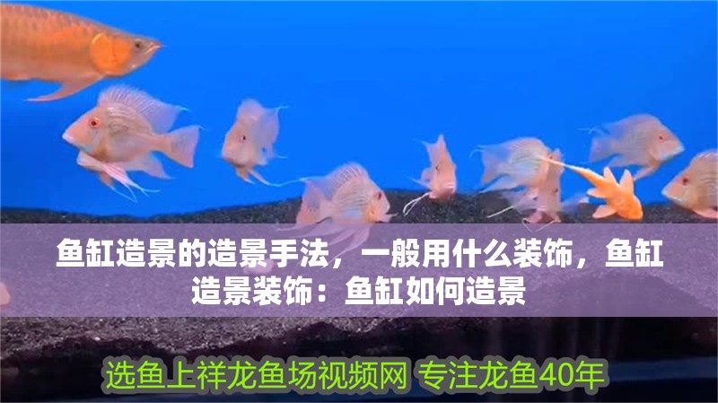 魚缸造景的造景手法，一般用什么裝飾，魚缸造景裝飾：魚缸如何造景