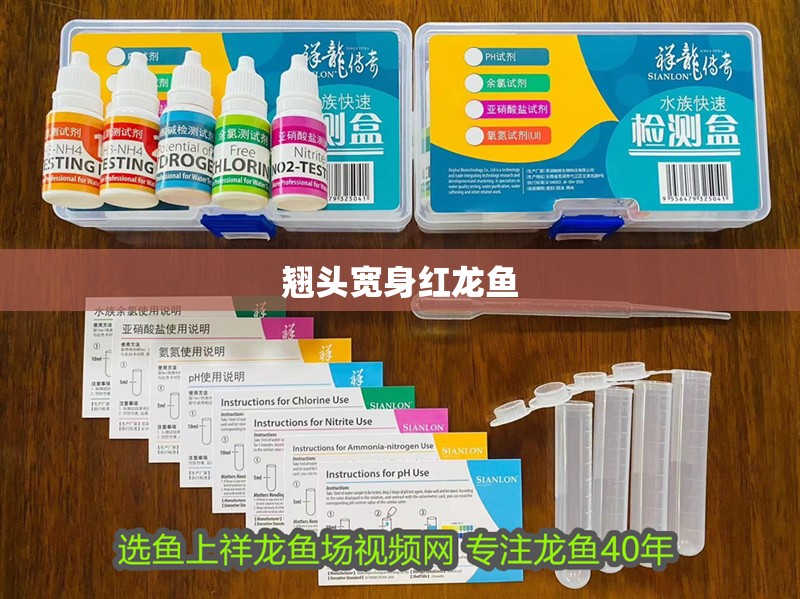 翹頭寬身紅龍魚 翹頭寬身紅龍魚 龍魚論壇