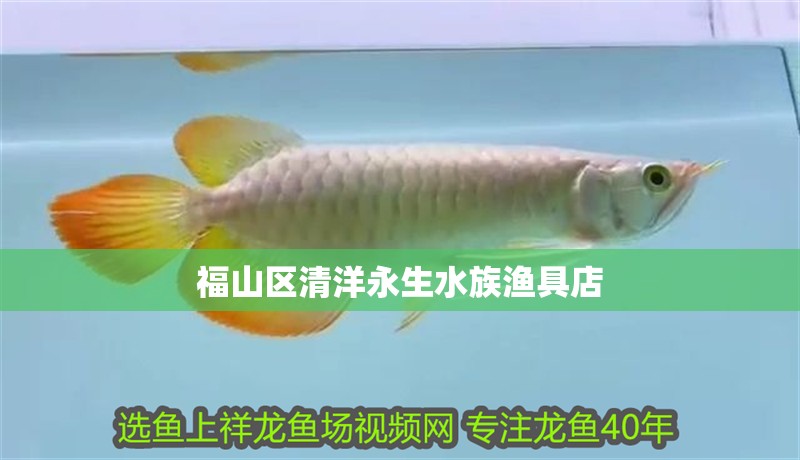 福山區(qū)清洋永生水族漁具店