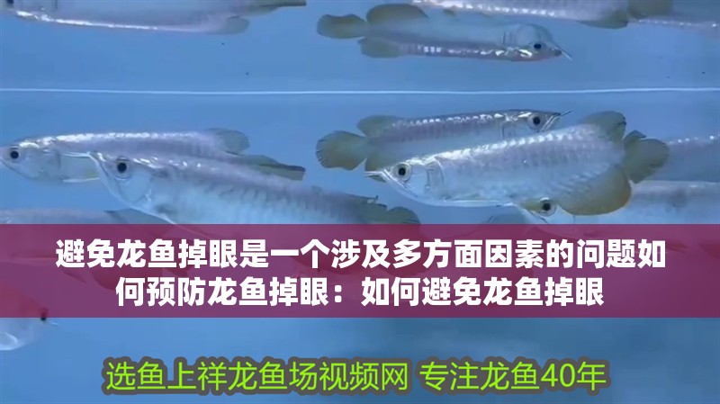 避免龍魚(yú)掉眼是一個(gè)涉及多方面因素的問(wèn)題如何預(yù)防龍魚(yú)掉眼：如何避免龍魚(yú)掉眼