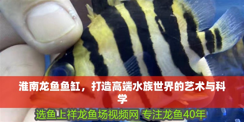 淮南龍魚魚缸，打造高端水族世界的藝術與科學