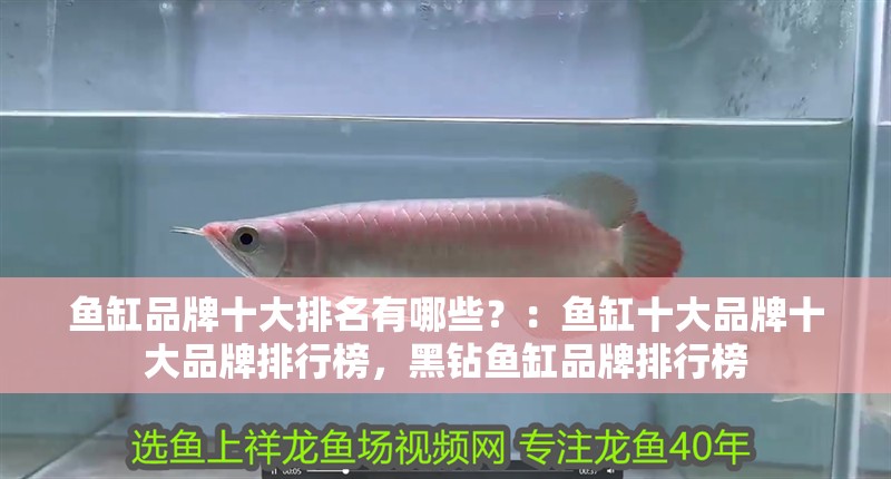 魚缸品牌十大排名有哪些？：魚缸十大品牌十大品牌排行榜，黑鉆魚缸品牌排行榜 魚缸品牌十大排名有哪些？：魚缸十大品牌十大品牌排行榜，黑鉆魚缸品牌排行榜 魚缸百科
