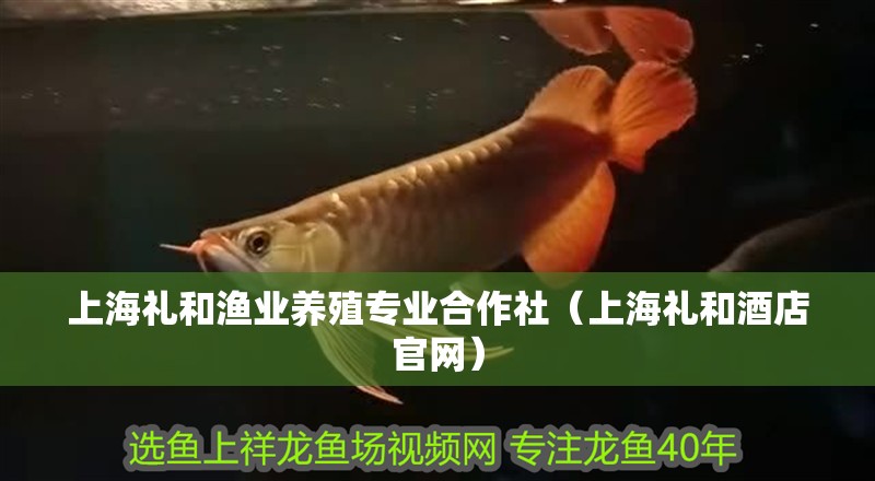 上海禮和漁業(yè)養(yǎng)殖專業(yè)合作社（上海禮和酒店官網(wǎng)）