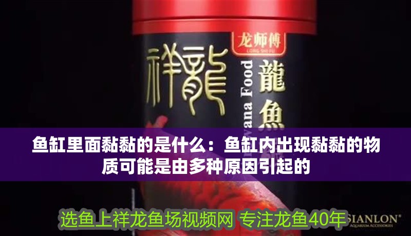 魚缸里面黏黏的是什么：魚缸內出現黏黏的物質可能是由多種原因引起的 魚缸里面黏黏的是什么：魚缸內出現黏黏的物質可能是由多種原因引起的 魚缸百科